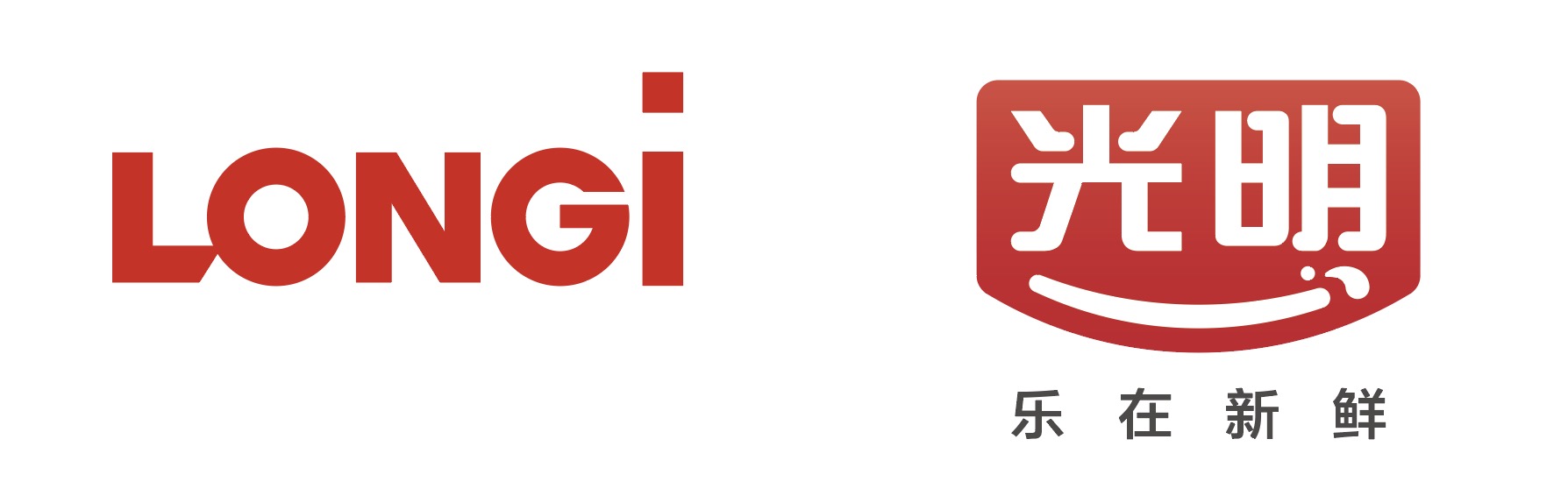 全年免费综合资料大全